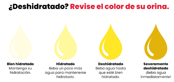Cómo Diferenciar la Sed del Hambre